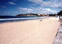 Manly Beach 1001